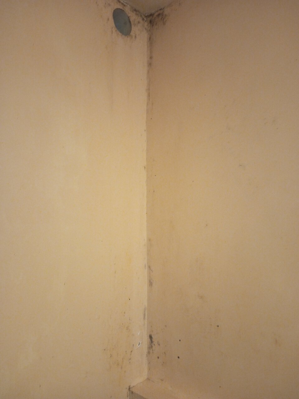 Гостиница Астерия Воронеж-147