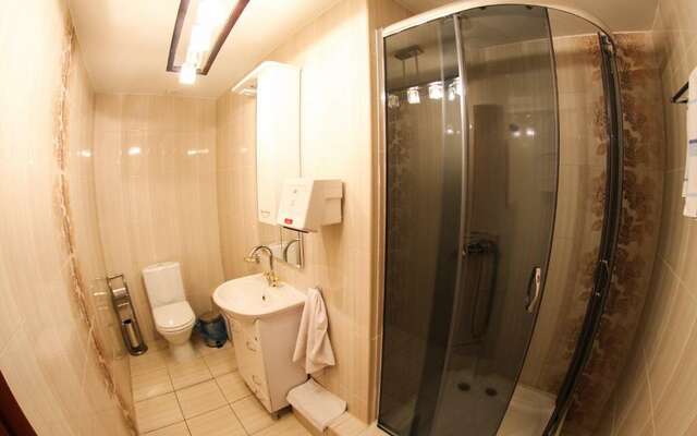 Гостиница Астерия Воронеж-100